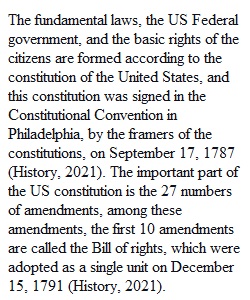 What is the U.S. Constitution? Initial Response 